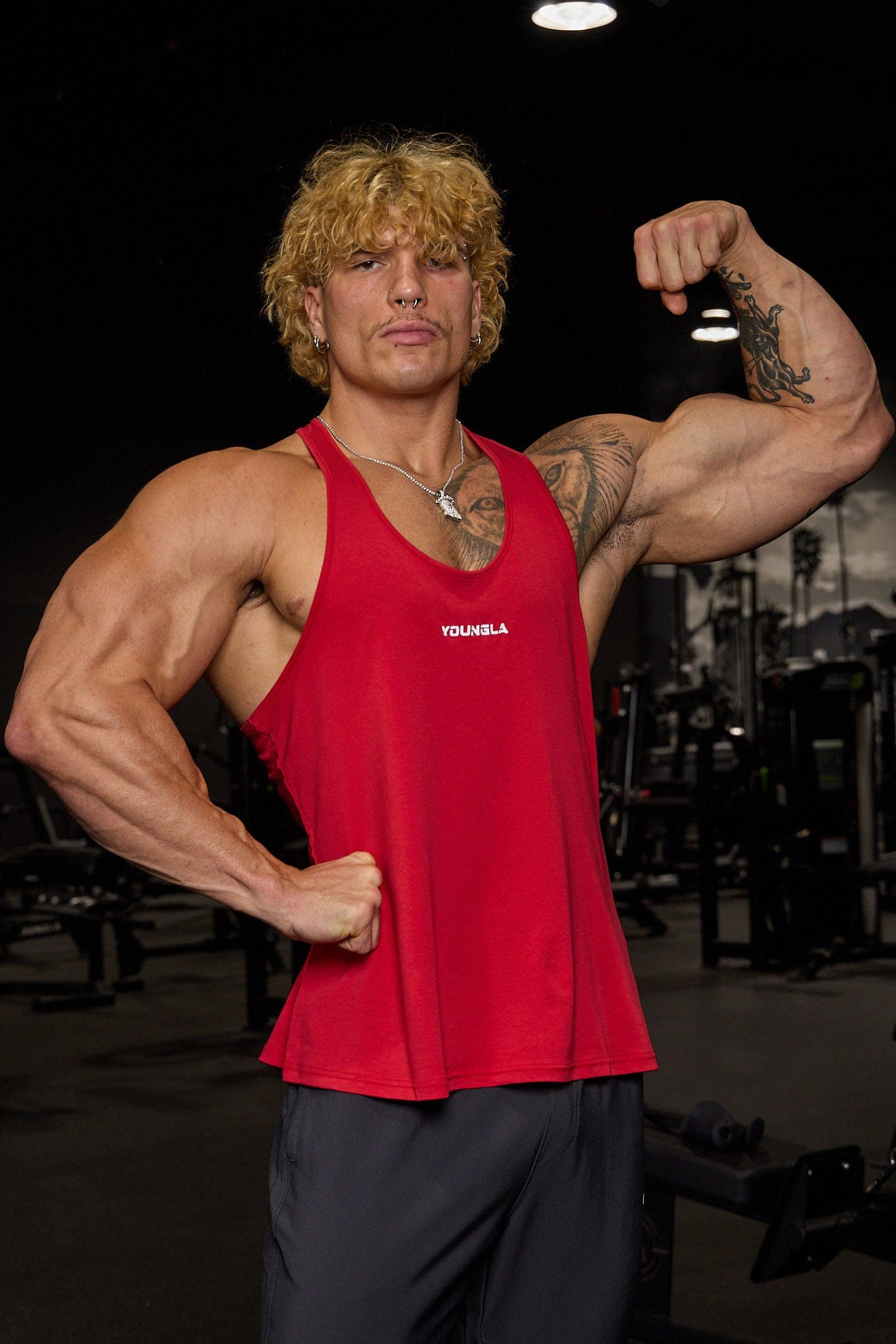 3011 - The Perfect Stringer